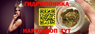 скорость Будённовск
